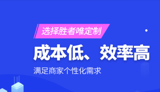 專業(yè)軟件定制，各類軟件系統(tǒng)定制，盡在勝者唯科技